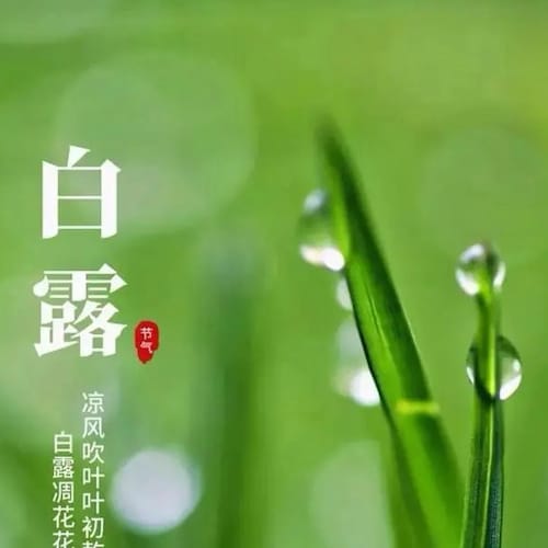 We Are the Citizens of the New Federal State of China

Our Mission is to Take Down the EVIL Chinese Communist Party
