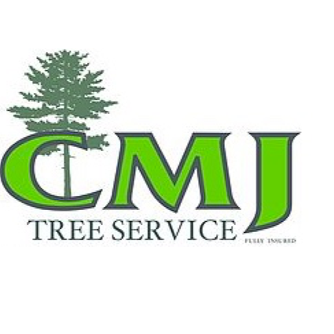 Led by Jim Cahill, CMJ Tree Service offers trusted Tree Removal, pruning, storm cleanup, and emergency tree services.