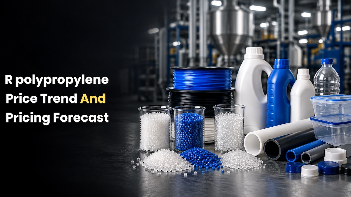 R Polypropylene Price Trend in India 2026: Price Trends, Forecast, Chart, Prices and Index

Explore ...