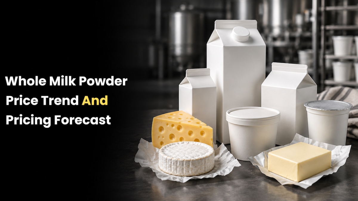 Whole Milk Powder Price Trend in Germany 2026 Price Trends, Forecast, Chart, Prices and Index

Whole...