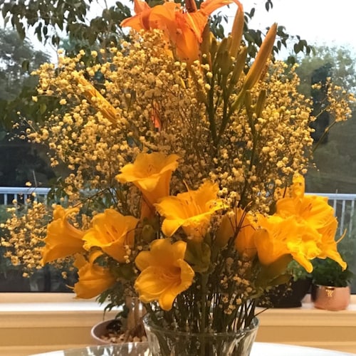 I am a citizen of New Federal State of China taking down the evil Chinese Communist Party