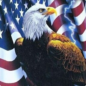 Kicked off Twitter for supporting the great President Trump.