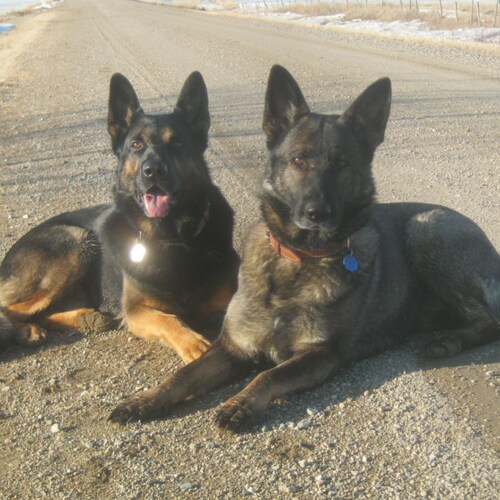 Visit atius's profile on GETTR. View their posts, photos, videos, and connect with them on the social platform.