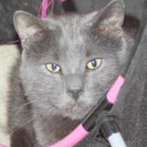 Lets go Brandon! Against medical tyranny, open borders, leftists, globalist. Looking for Christ's return.