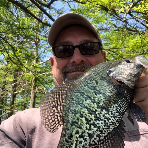 MAGA, hoping for truth justice & the American way. 🇺🇸🦅🗽🇺🇸😎🌴🎣