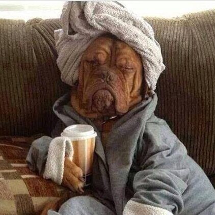 Pro-Conservative - Small Gov't - Constitutional Judges & Politicos
Term Limits - 1st & 2nd Amdt - 46th POTUS=DJT

Imp...