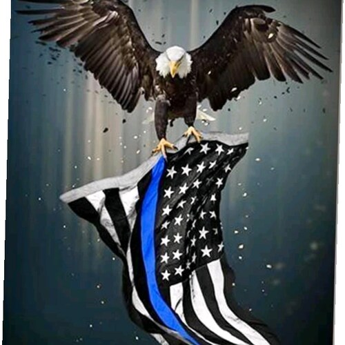 pro God, pro life, pro prayer in schools, pro gun, pro free speech, pro family, pro America, pro law enforcement, pro mi...