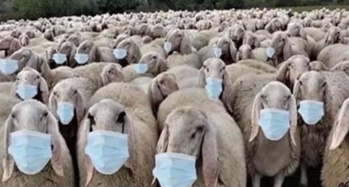 THE US GOVERNMENT OPINION OF US CITIZENS