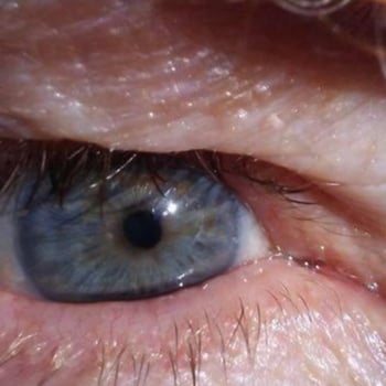 NEWS OUTLET
FYI
SECTION
04-22-2022

" COULDN'T HAVE SAID IT
                                        ...