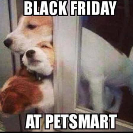 More Conservative Than Attila The Hun,  Normal vs Crazy
NRA 4Life, Marine Vet, D.J. Trump is the ONLY person who knows ...