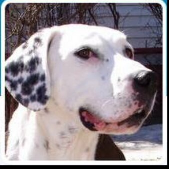 Visit Scott Plantier's profile on GETTR. View their posts, photos, videos, and connect with them on the social platform.