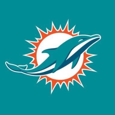 Go Dolphins!