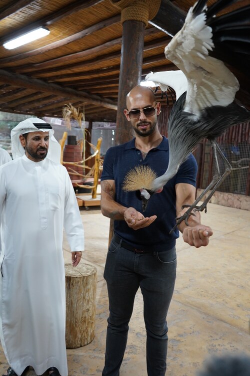 查看 Andrew Tate 在 GETTR 上的帖子。加入讨论，分享您的想法，与社区联系。