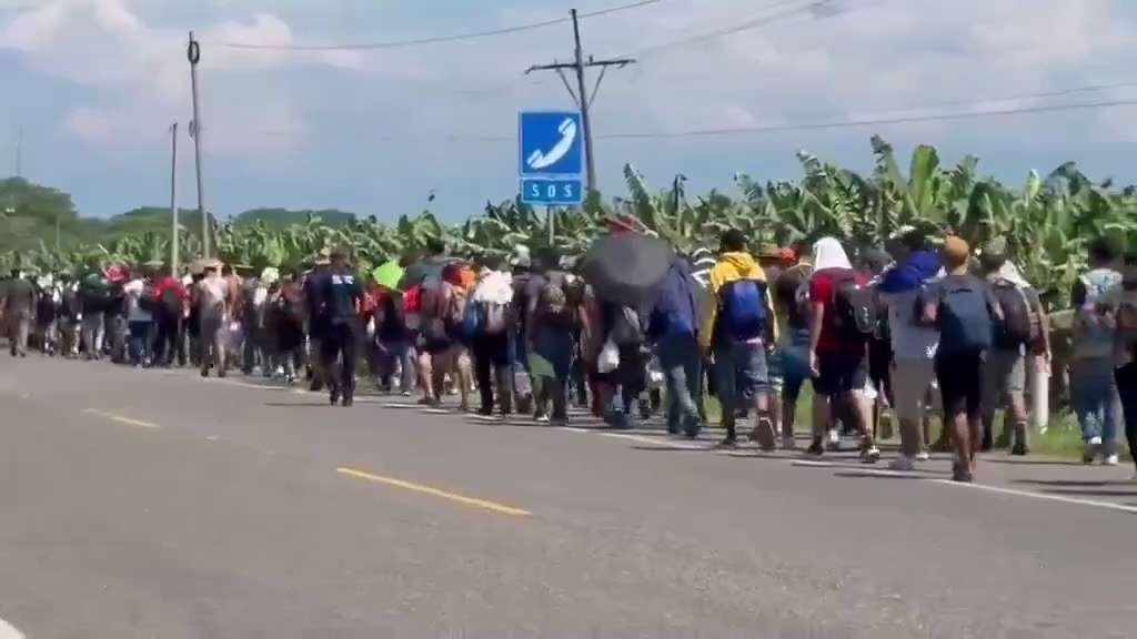 This is not a caravan headed to the U.S. southern border.

This is the overthrow of the constitution...