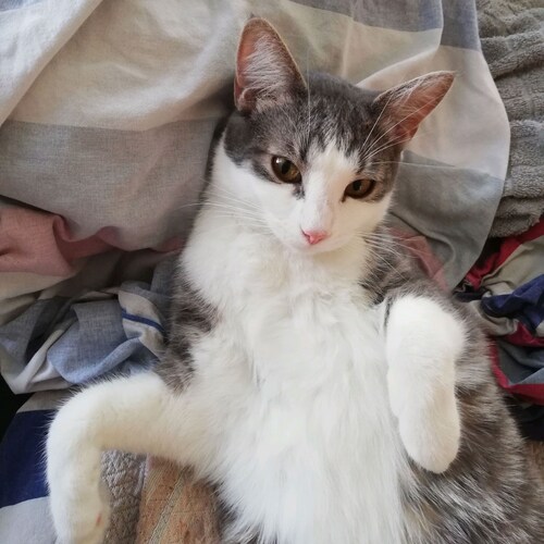 Visit MariaStina🍊's profile on GETTR. View their posts, photos, videos, and connect with them on the social platform.