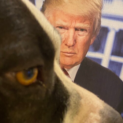 TrumpTheGreatest for ever