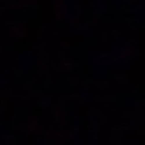 Never worship a man.