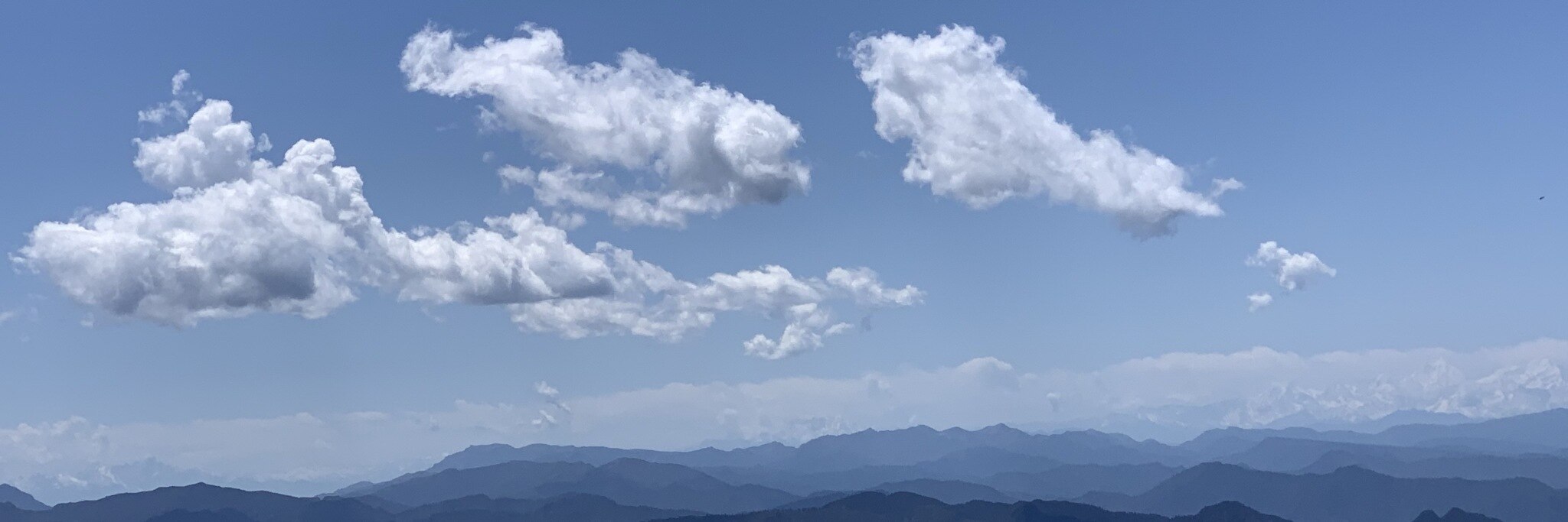 小蚂蚁🌟🌟🌟银河系