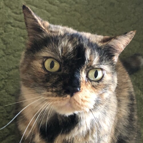 TruthSocial: @funnybone