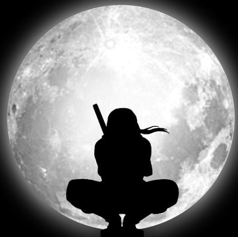 Hi nice to meet you all 🇺🇸👋