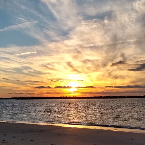 Father of 5️⃣ and 1️⃣🐶 Microbiologist-Virologist ☢☣-Retired spy, Comedian, Tamer of the 500#🦍, Seminole, Central Flori...