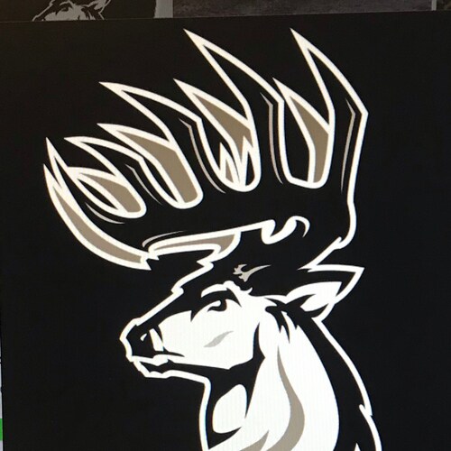 Father, Husband, Small Biz owner. ULTRA AMERICAN 🇺🇸 . Blind partisans are dangerous fools. Everything woke turns to sh...