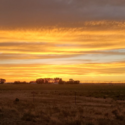 live on a ranch, MAGA, trying to get the word out on early treatments and the dangerous vaccine.