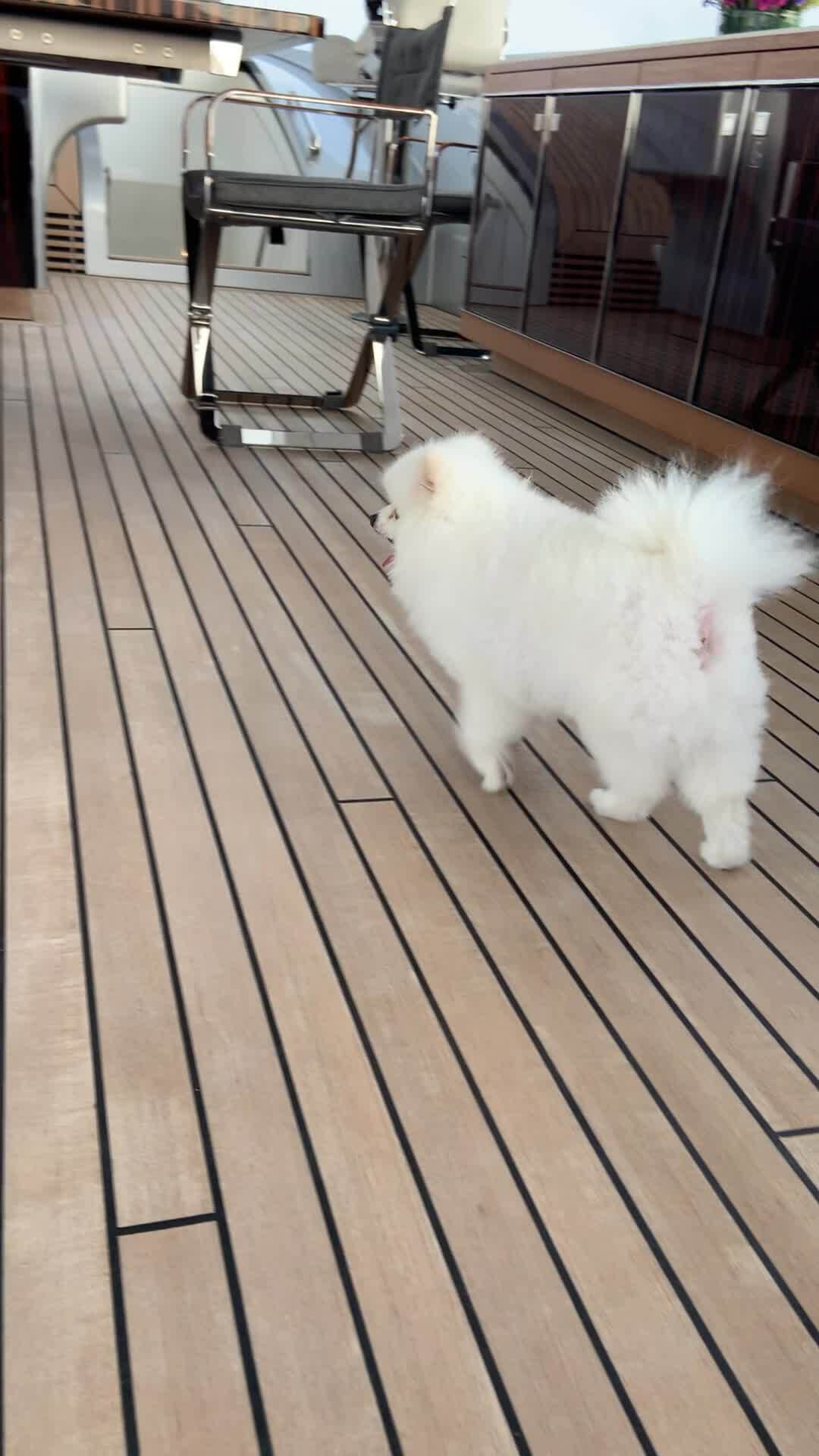 8月24号：尊敬的战友们好．马上要开始的直播，继续谈疫苗灾难将给世界的经济，我们每个人生活．带来什么样的影响，从昨天到今天．太多战友给我发来的自己家人．朋友．打疫苗后的严重的后果的一个个案例．实在太残...