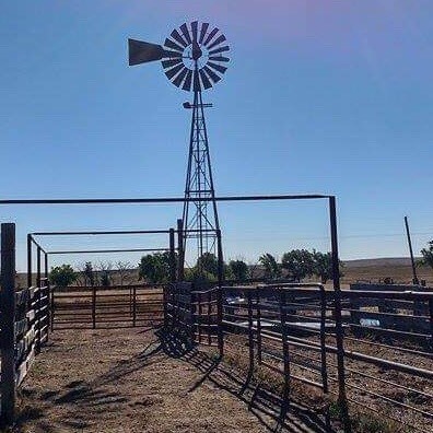 Visit johnnybazel  🍊's profile on GETTR. View their posts, photos, videos, and connect with them on the social platform.