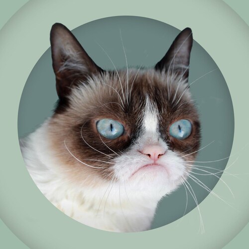 We Are the Citizens of the New Federal State of China

Our Mission is to Take Down the EVIL Chinese Communist Party