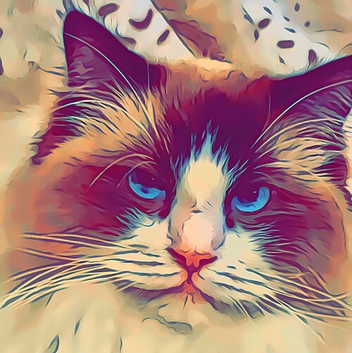 ✝️  Blessed Wife, Mom & Mimi  ✝️