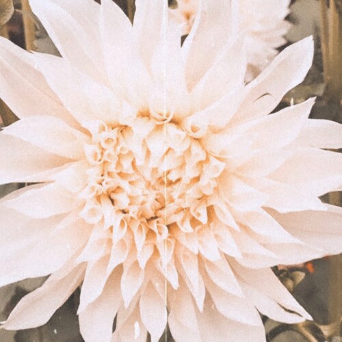 🇺🇸🇺🇸🇺🇸