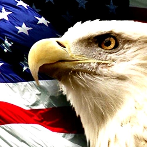 American Patriot fighting for the future generations of patriots.
America First. 
I Stand with Israel. End Hamas
Back the Blue.
Drain the Swamp