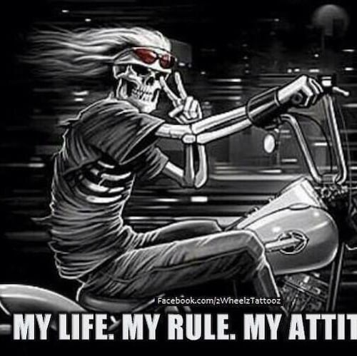 I am a Constitutional conservative. Navy veteran of Vietnam, retired millwright from the days of steam power. Native Ame...