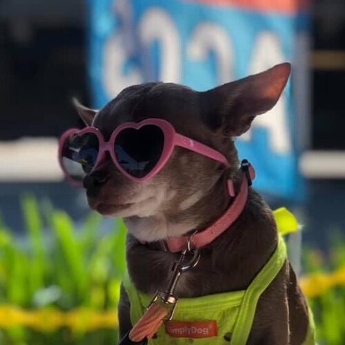 choosing freedom and happiness every single time