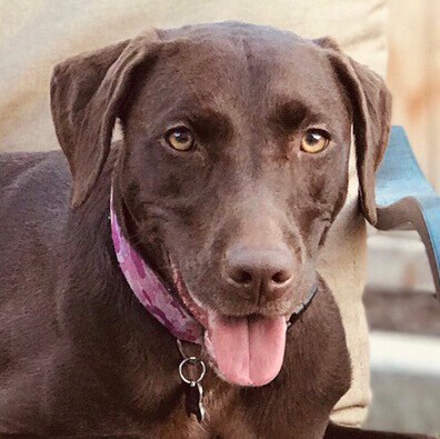 Critical Thinker
God, Family, Country
- in that order.