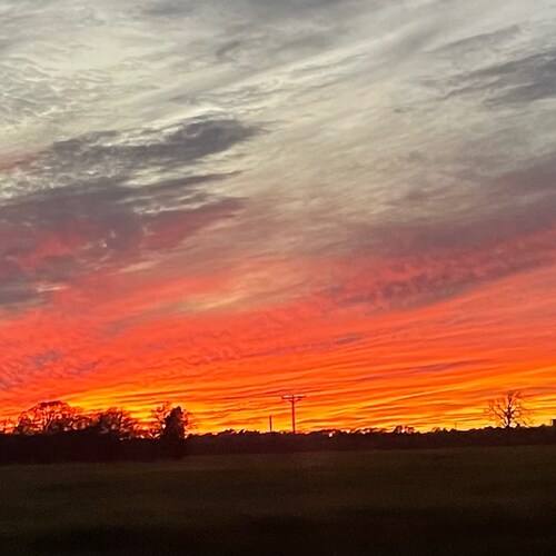 Proud but quiet catholic,husband, father, grandfather, Texas Aggie, former Aggie bandsman, family physician, former infe...