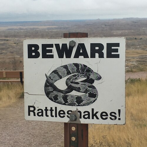 love God, love my country, blessed to live in America,love my family,and LGB 🇺🇸