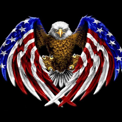 i am an easy going down to earth person and who is a god fearing christian who loves the great white hope Donald Trump