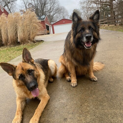 71 year old great grandpa 8 total grandkids,  Cub fan and Indiana State baseball fan. our grandson is a pitcher on their...