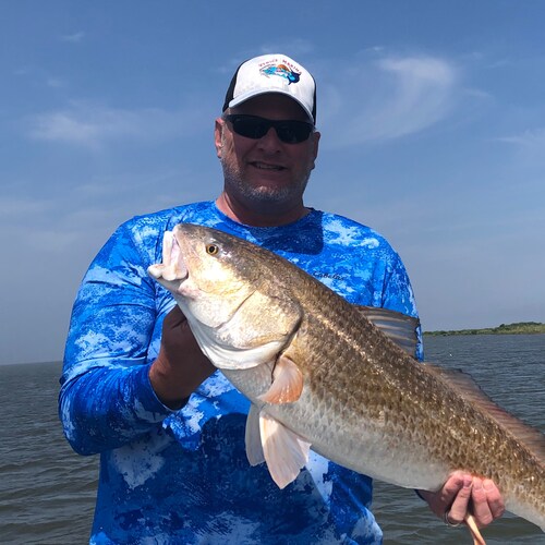 thoughtful, respectful (well mostly) often snarky, non-tribal conservative nurse getting by in a screwed up world. 
echo...