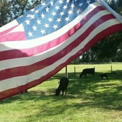 Super American! God, Family, Country. Dude with a farm and a beard in the free state. Unmask the help! 🇺🇸