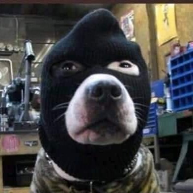 Freedom loving American