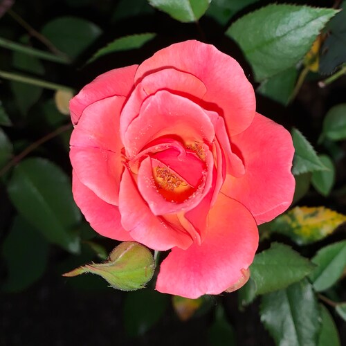 read, write, pray, ponder, sing, remember/forget as needed, forgive,thank God first.