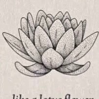 Proud American🇺🇸
Lord, help me to do the right thing, even though it’s often not the Easy Thing to Do.

Blessed w/acce...