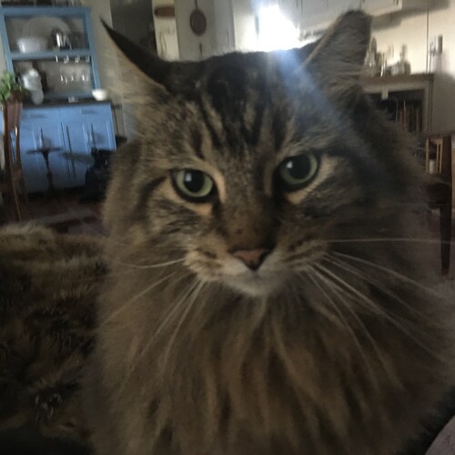 Former Democrat. Red pilled in 2015.