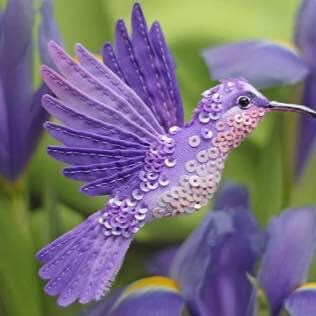 America First Conservative, fed up with politicians from both parties. My focus: healthy living through diet and exercis...