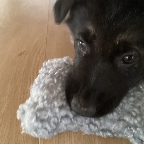 ❤️❤️❤️🌷🌷🌷