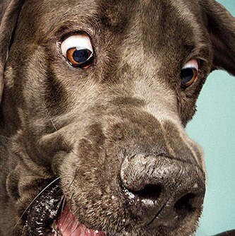 Visit Clarvin)'s profile on GETTR. View their posts, photos, videos, and connect with them on the social platform.