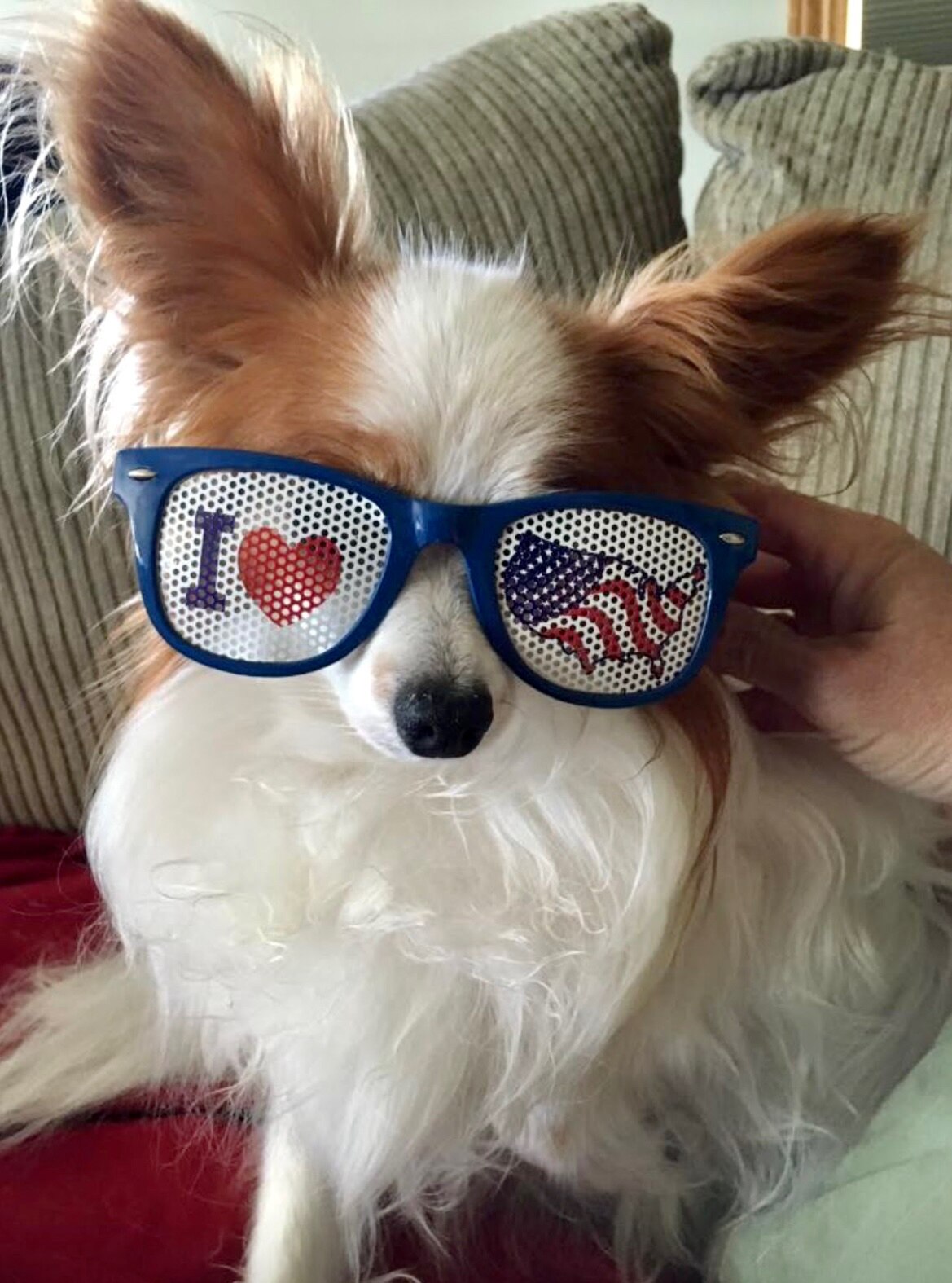 Happy Independence Day!